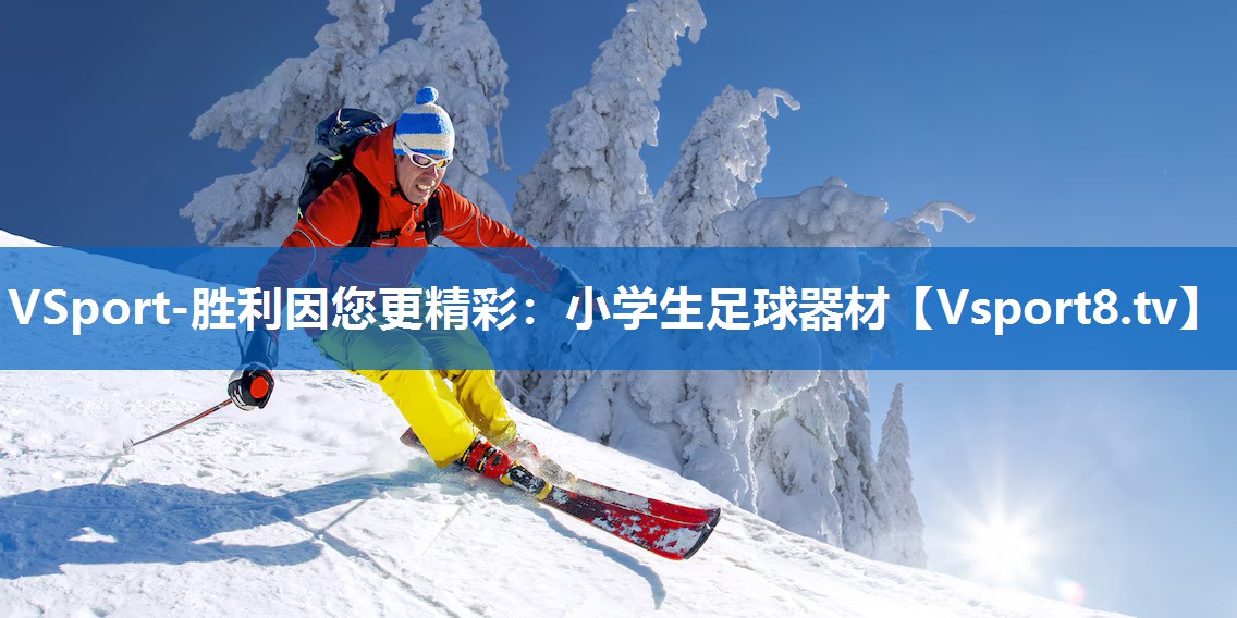 <strong>VSport-胜利因您更精彩：小学生足球器材</strong>