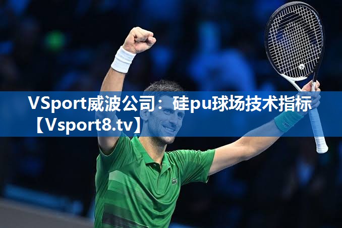 <strong>VSport威波公司：硅pu球场技术指标</strong>