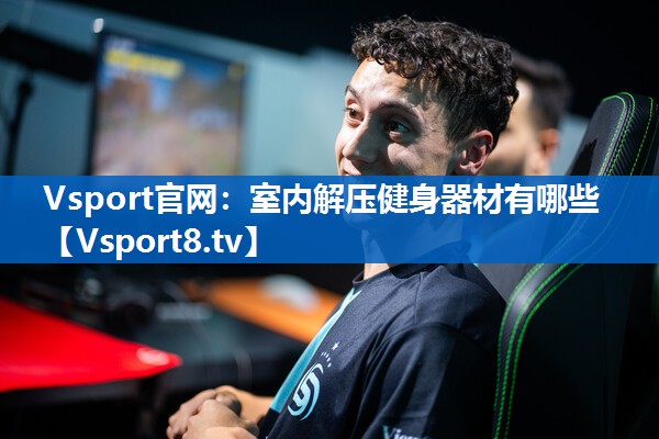 <strong>Vsport官网：室内解压健身器材有哪些</strong>