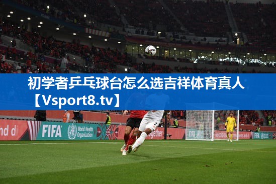 初学者乒乓球台怎么选吉祥体育真人