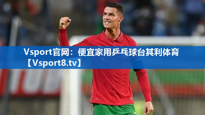 <strong>Vsport官网：便宜家用乒乓球台其利体育</strong>