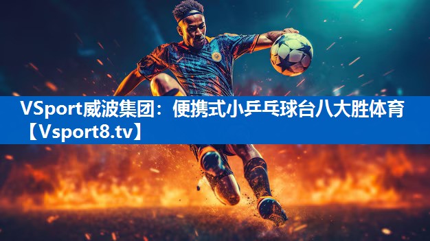 VSport威波集团：便携式小乒乓球台八大胜体育
