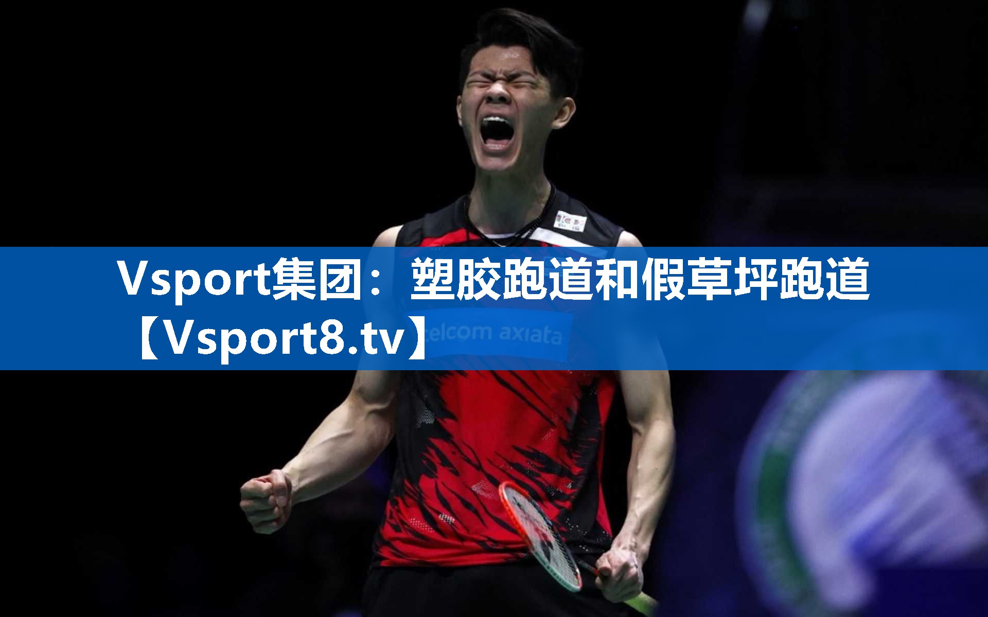 Vsport集团：塑胶跑道和假草坪跑道